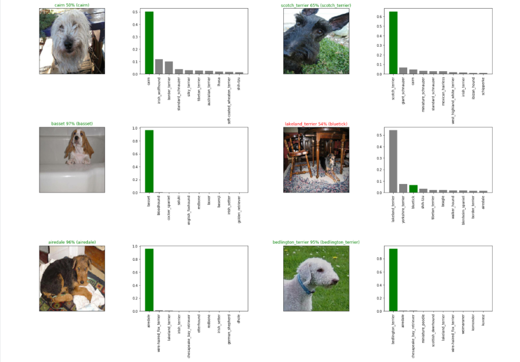 dog-breed-classification-tensorflow